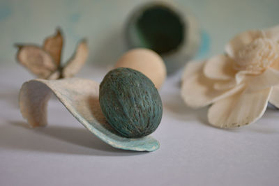 Close-up of shells on table