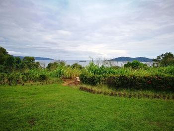 Scenic view of field against sky