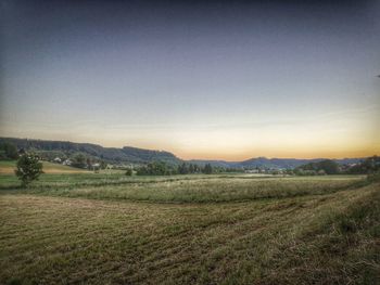 Scenic view of field against clear sky