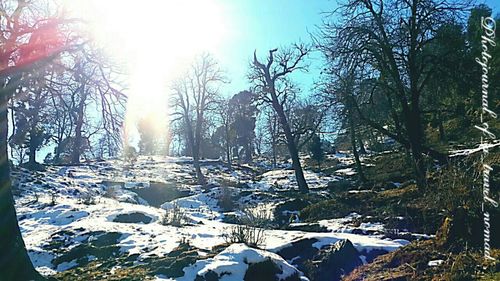 Scenic view of snow covered landscape