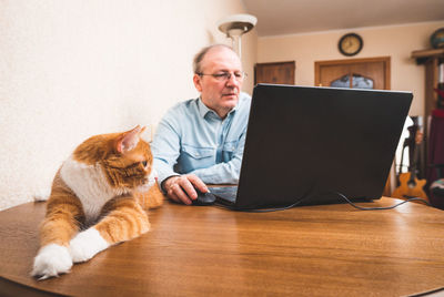 A mature man works online from home. a ginger cat sits near the computer while the owner is working