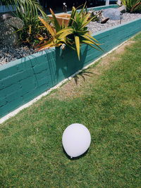 High angle view of ball on field