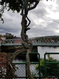 Bridge over river against sky