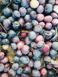 Full frame shot of blueberries