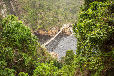 High angle view of waterfall in forest