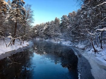 Frozen trees against sky during winter