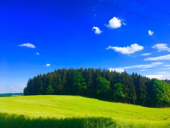 Scenic view of trees on field against sky