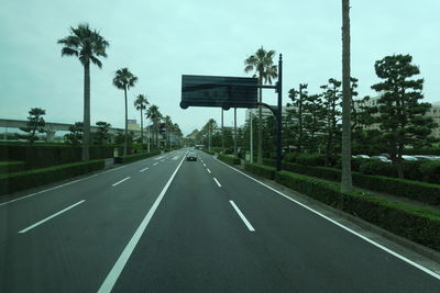 Road by palm trees against sky