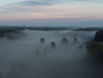 Enchanting sunrise mist over majestic forest in northern europe