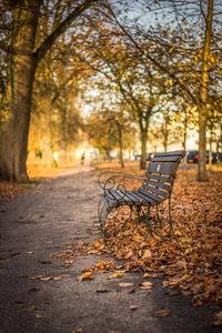 Empty park during autumn