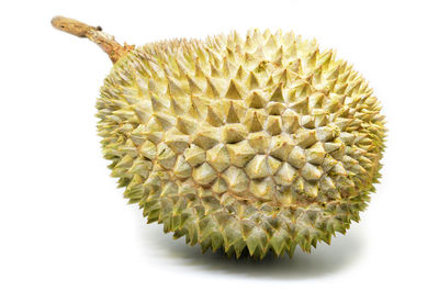 Close-up of fruit against white background