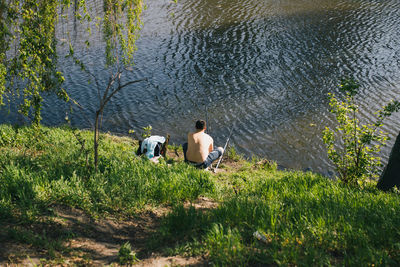 Rear view of man sitting on grass by lake