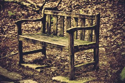 Empty bench in park