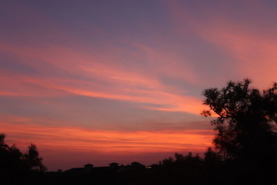 Low angle view of silhouette trees against dramatic sky