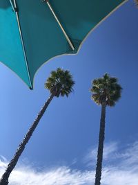 Low angle view of coconut palm tree against blue sky