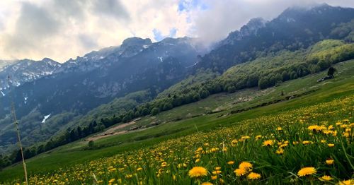 Scenic view of grassy field against cloudy sky