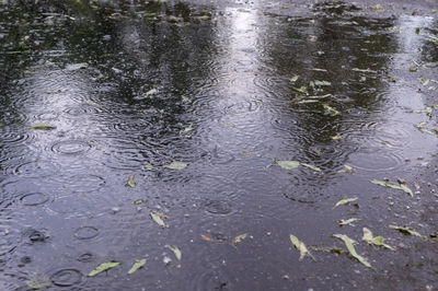 Full frame shot of raindrops on puddle