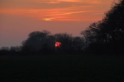 Silhouette trees on field against orange sky