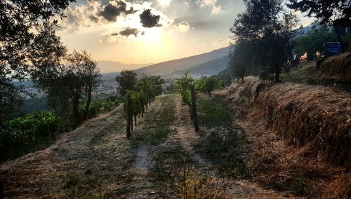 Panoramic view of landscape against sky during sunset