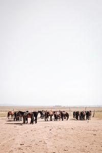 Group of people on beach against clear sky