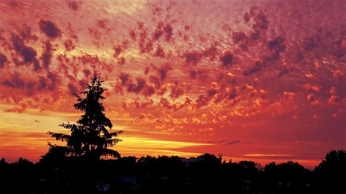 Low angle view of silhouette trees against dramatic sky