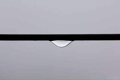 Low angle view of tree against sky