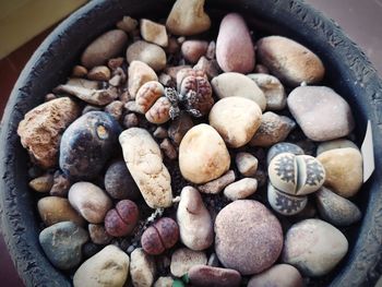 High angle view of various fruits in bowl