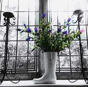 Flowers growing in vase on window sill