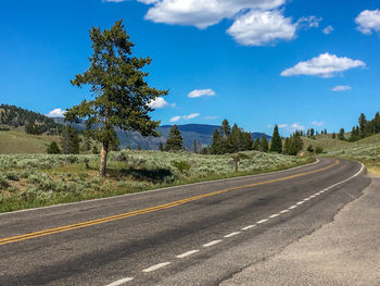 Road by trees against sky