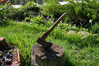 View of wood on field against trees