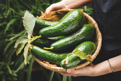 Cropped hand of woman holding vegetables in container