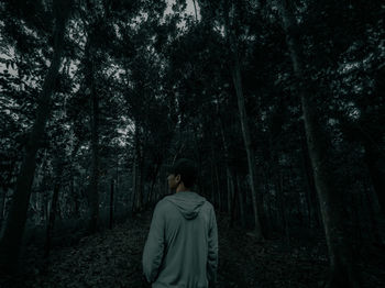 Rear view of man standing by trees in forest