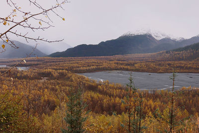 Scenic view of landscape against sky during autumn