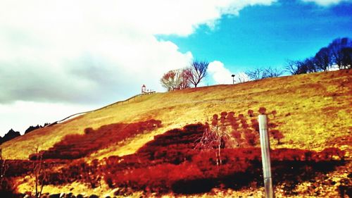 Low angle view of trees on field against cloudy sky