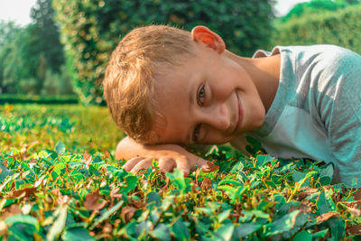 Portrait of boy lying on plant