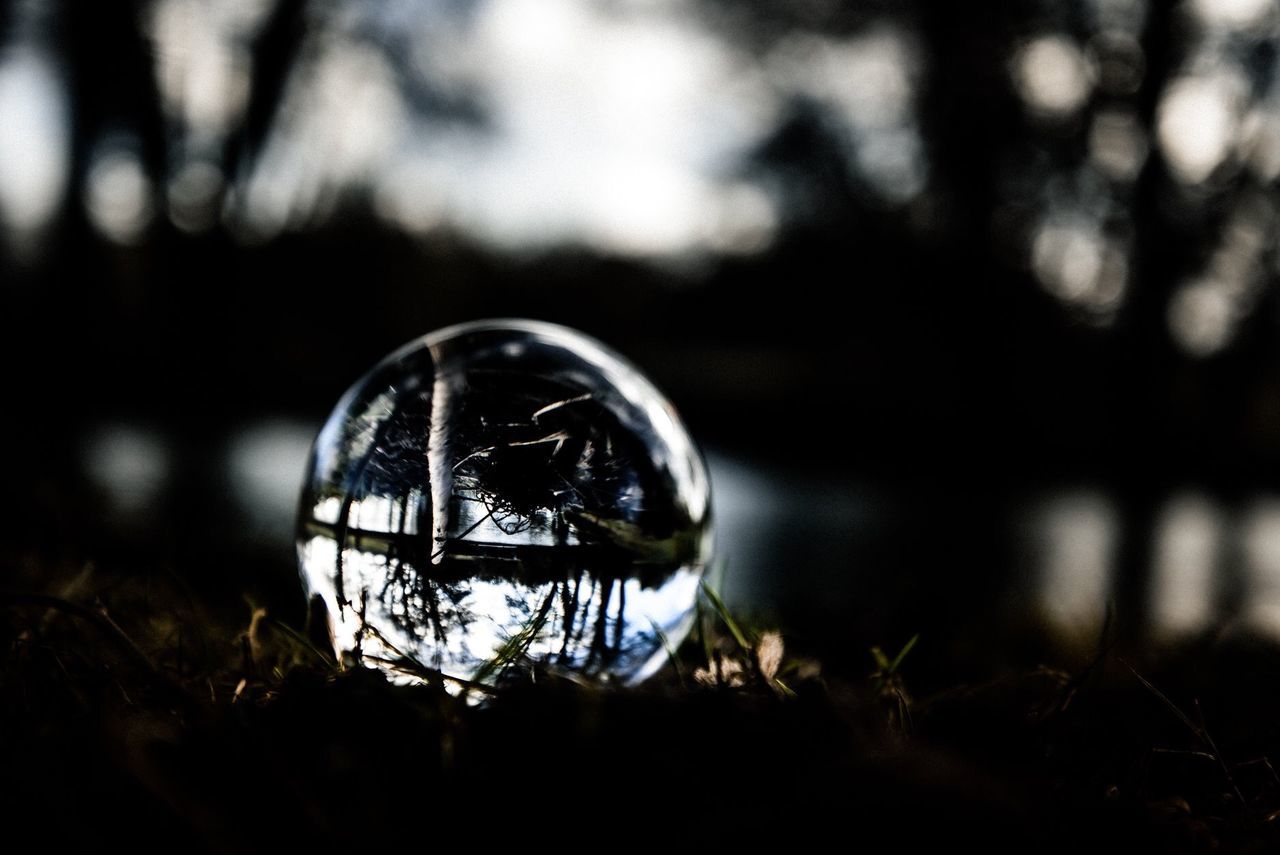 reflection, sphere, close-up, crystal ball, selective focus, nature, glass - material, transparent, focus on foreground, no people, plant, day, tree, land, outdoors, geometric shape, shape, vulnerability, fragility, field