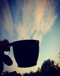 Low angle view of hand holding tree against sky