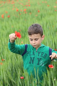 Boy holding flowering plants