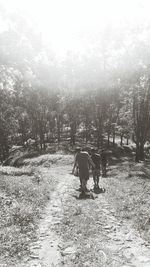 Rear view of people walking on street in park