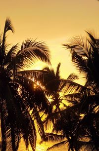 Low angle view of palm trees against sky during sunset