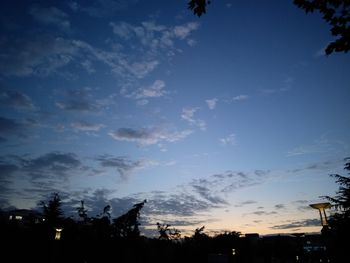 Low angle view of silhouette trees against sky