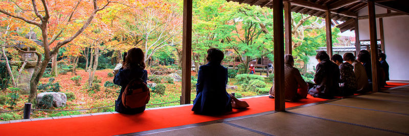 Rear view of people standing by trees during autumn