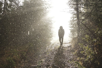 Rear view of man walking in forest