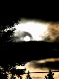 Low angle view of silhouette trees against sky at night