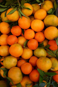 Full frame shot of oranges at market stall
