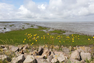 Scenic view of sea against cloudy sky