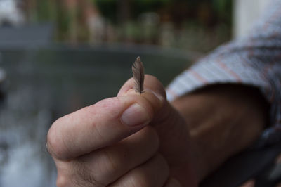 Close-up of man hand with a little feather