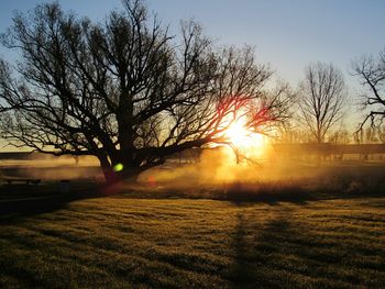 Bare tree on field against sky during sunset