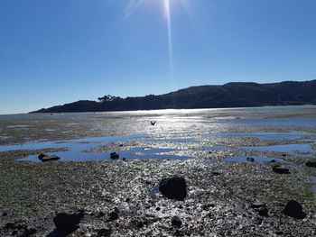 Scenic view of beach against clear sky