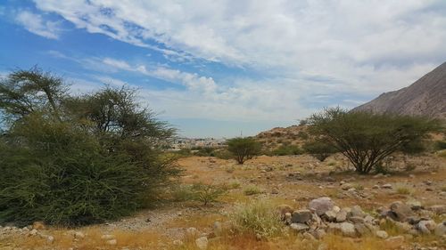 Scenic view of landscape against sky